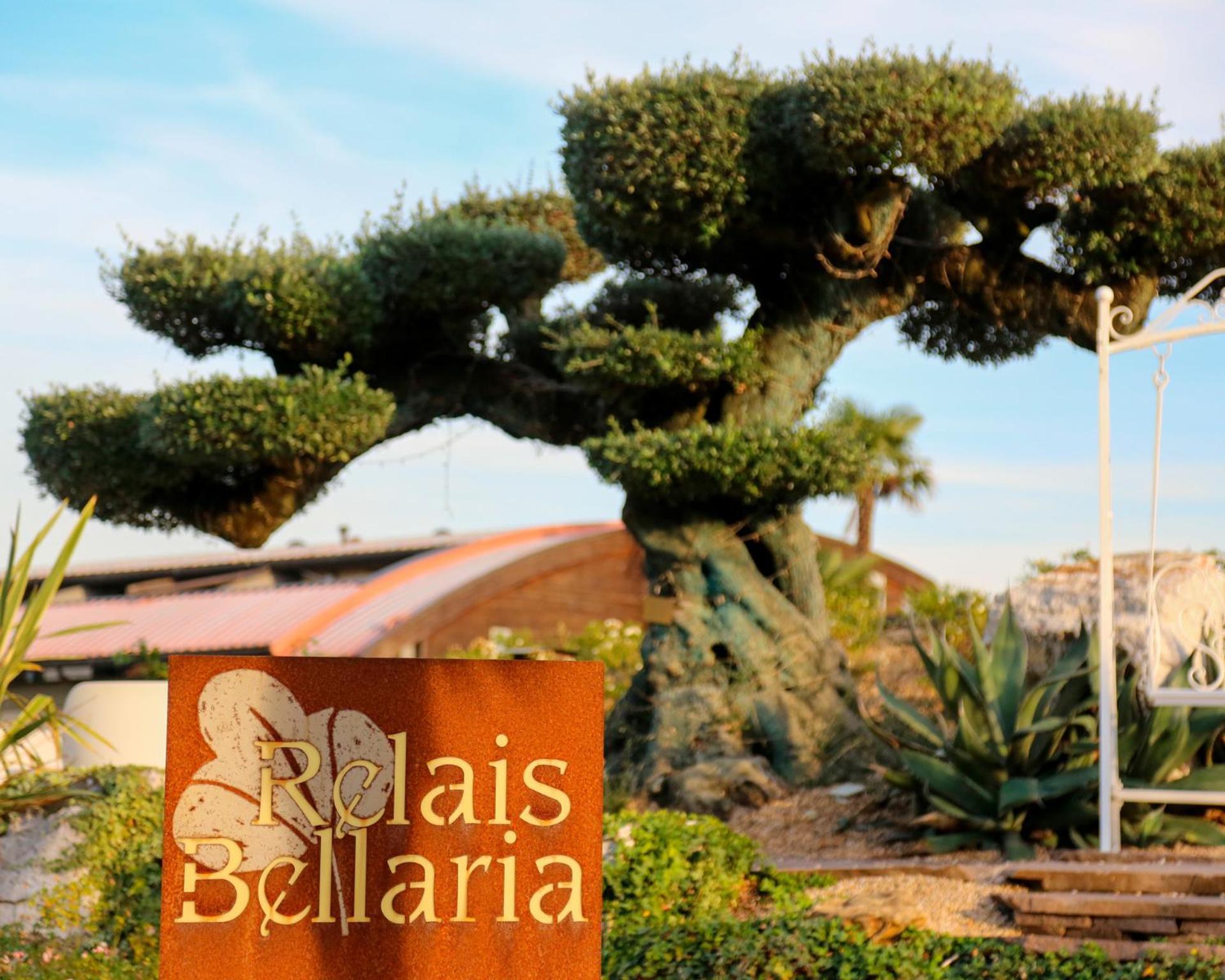 Relais Bellaria Hotel & Congressi سان لاتْسارو دي سافين المظهر الخارجي الصورة