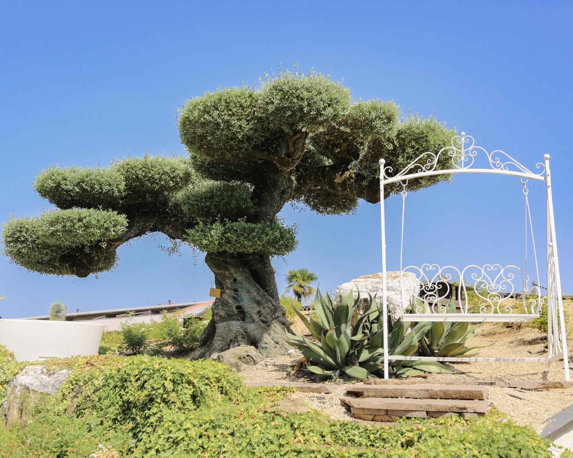 Relais Bellaria Hotel & Congressi سان لاتْسارو دي سافين المظهر الخارجي الصورة